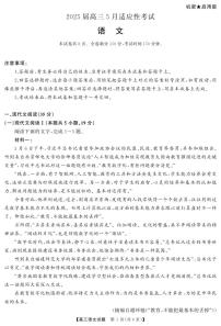 语文丨湖南省天壹名校联盟2025届高三下学期5月适应性考试试卷及答案