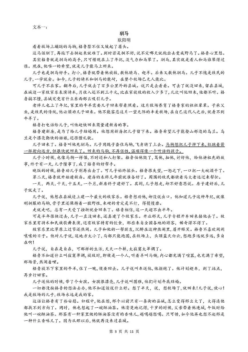 襄阳五中2025届高三下学期5月适应性考试(一)语文 答案第3页