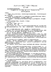 湖北省武汉市2025届高三下学期5月模拟训练语文语文试卷（Word版附解析）
