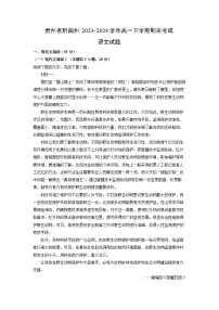 贵州省黔南州2023-2024学年高一下学期期末考试语文试题（解析版）
