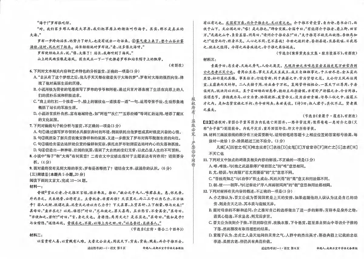 语文丨四川省成都石室中学2025届高三下学期5月适应性考试(一)试卷及答案第3页
