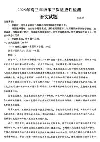 山东省青岛市2025年高三下学期高考第三次适应性检测语文试题（含答案）