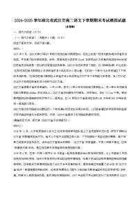 2024—2025学年湖北武汉高二语文下册期末考试试题【含答案】