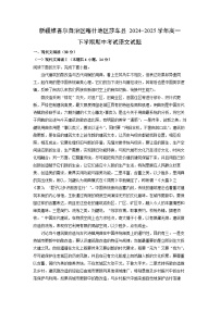 新疆维吾尔自治区喀什地区莎车县2024-2025学年高一下学期期中考试语文试卷（解析版）
