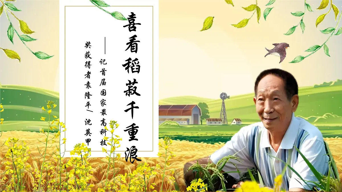 喜看稻菽千重浪第1页