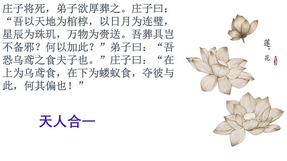 【课件+教案】统编版高中语文选修上册第二单元《五石之瓠》第3页