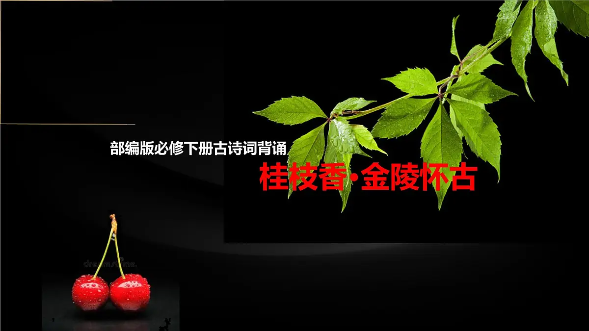 高中语文人教统编版 必修 下册 古诗词诵读桂枝香·金陵怀古 课件第1页