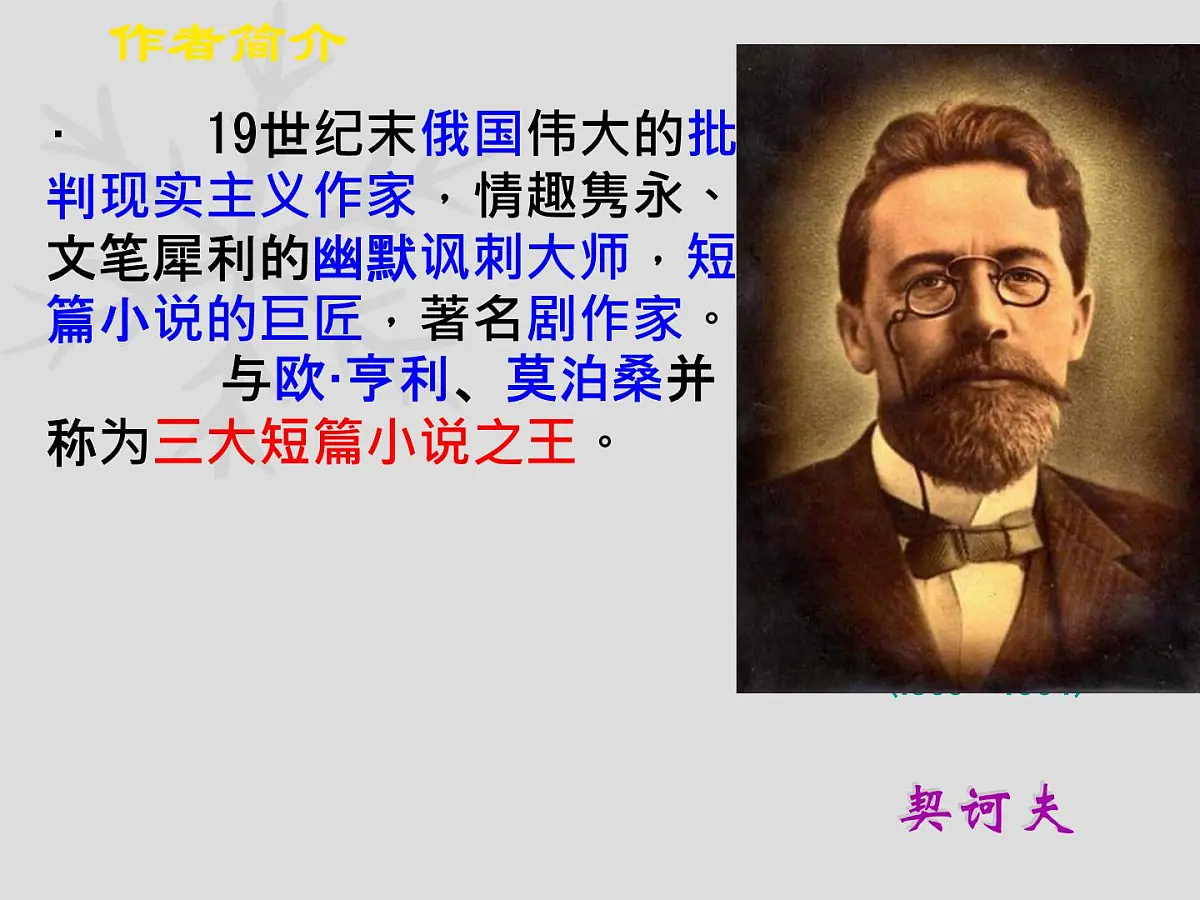 高中语文人教统编版必修 下册第六单元13.2 装在套子里的人 课件第3页