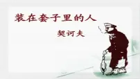 高中语文人教统编版必修 下册13.2* 装在套子里的人说课课件ppt