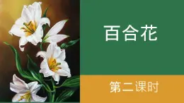 高中語文人教統(tǒng)編版 必修 上冊第一單元3.1 百合花（第二課時） 課件