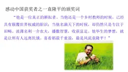 高中語文人教統(tǒng)編版必修 上冊第二單元4.1 喜看稻菽千重浪――記首屆國家最高科技獎獲得者袁隆平 課件