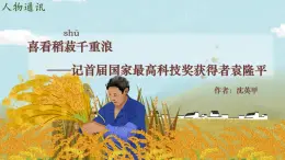 高中語文人教統(tǒng)編版必修 上冊第二單元4.1 喜看稻菽千重浪――記首屆國家最高科技獎獲得者袁隆平 課件