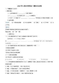 上海市奉贤区2025届高三下学期二模语文试卷（Word版附解析）