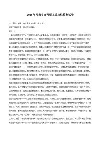 2025年河南省高考语文适应性检测试卷