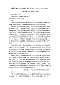 【语文】新疆维吾尔自治区喀什地区莎车县2024-2025学年高二下学期期中考试试题（解析版）