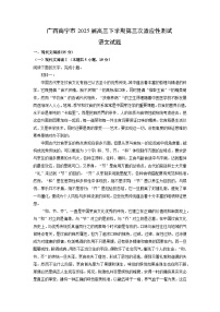 广西南宁市2025届高三下第三次适应性测试语文试卷（解析版）