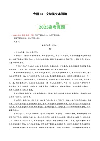 2025年高考语文真题分类汇编：专题03 文学类文本阅读（全国通用）（原卷版）