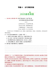 2025年高考语文真题分类汇编:专题05 古代诗歌阅读(全国通用)(解析版)