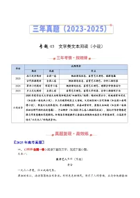 三年(2023-2025)高考语文真题分类汇编:专题03 文学类文本阅读(小说)(全国通用)(原卷版)