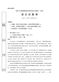 2025届高三第三次模拟语文试卷（含答案）
