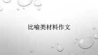 2026届高考语文议论文写作指导：议论文比喻类材料作文 写作课件（全国通用）