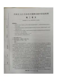 广西北海市2024-2025学年高二下学期期末考试 语文 PDF版含解析