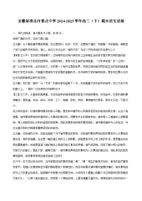 安徽省淮北市重点中学2024-2025学年高二（下）期末语文试卷