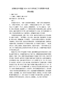 【语文】安徽省县中联盟2024-2025学年高二下学期期中考试试题（解析版）
