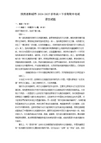 【语文】陕西省韩城市2024-2025学年高一下学期期中考试试题（解析版）