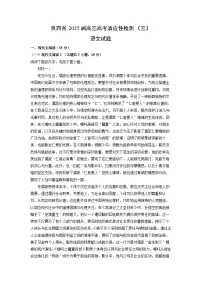 陕西省2025届高三高考适应性检测（三） 语文试卷（解析版）