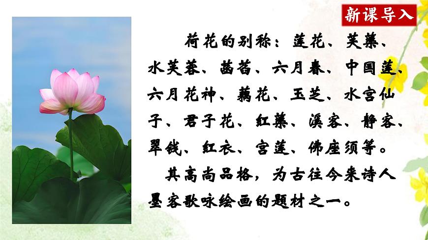 【高考一輪】高中語文補充篇目《蘇幕遮·燎沉香》課件第2頁