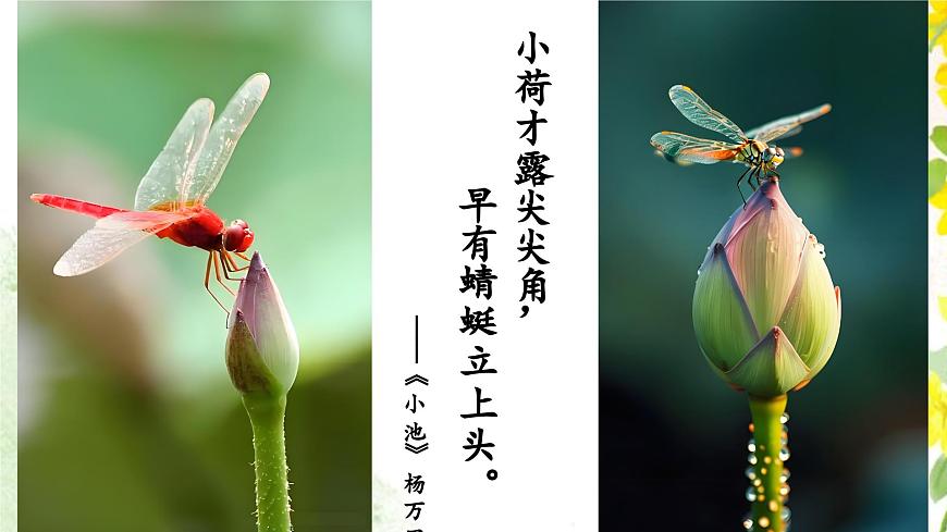 【高考一輪】高中語文補充篇目《蘇幕遮·燎沉香》課件第3頁