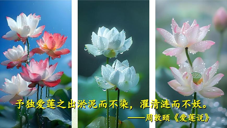 【高考一輪】高中語文補充篇目《蘇幕遮·燎沉香》課件第5頁