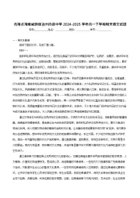 青海省海南藏族自治州高级中学2024-2025学年高一下学期期末考试语文试卷