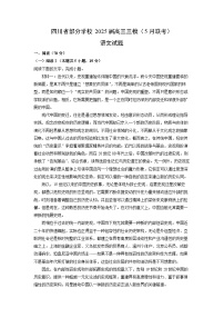四川省部分学校2025届高三三模（5月联考）语文试卷（解析版）