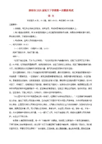 广东省深圳市2025届高三语文下学期3月一模试题含解析