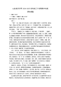 【语文】山东省济宁市2024-2025学年高二下学期期中考试试题（解析版）