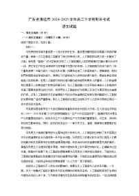 【语文】广东省清远市2024-2025学年高二下学期期末考试试题（解析版）