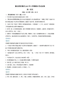 湖南省长沙市雅礼教育集团2024-2025学年高一下学期期末语文试题(含答案)