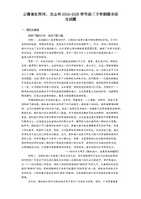 云南省红河州、文山州2024-2025学年高二下学期期末语文试题（含答案）