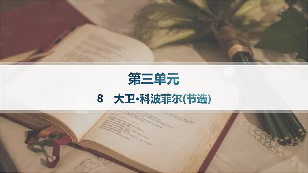 8 大卫 科波菲尔(节选)(课件)第1页