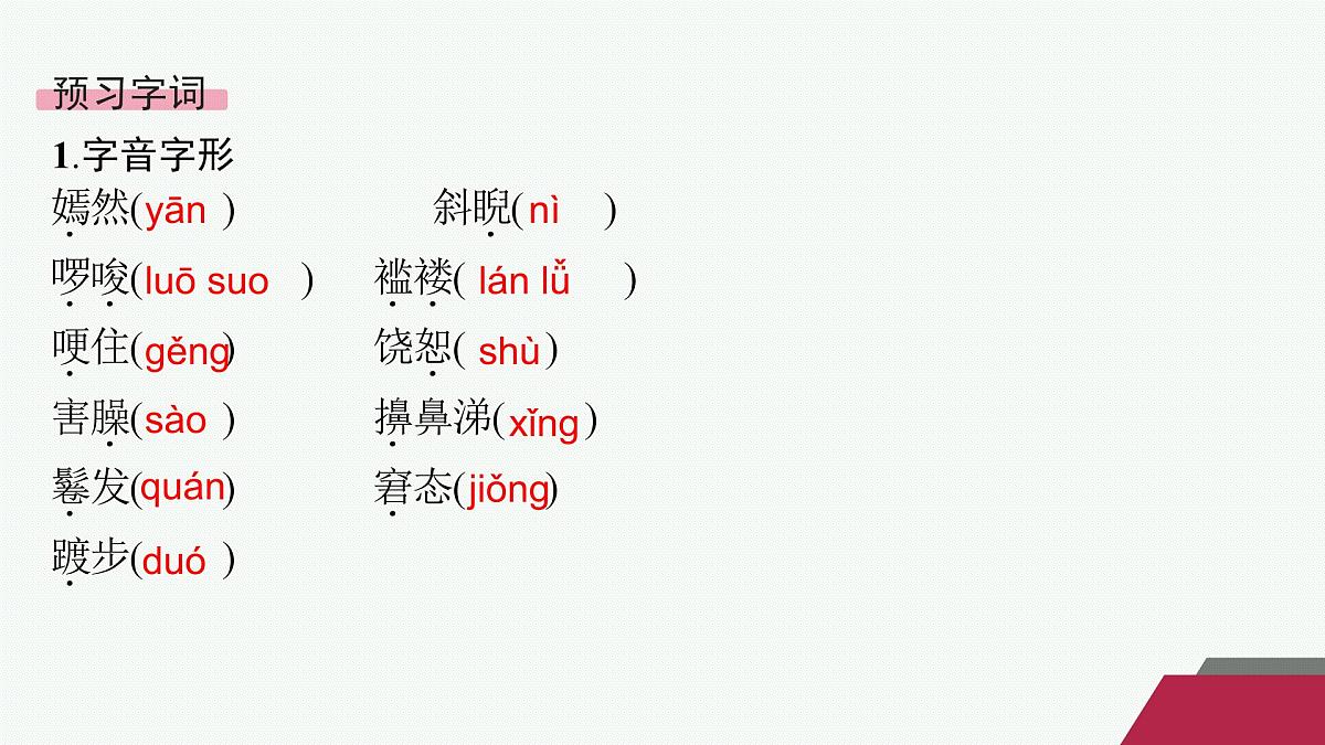 9 复活(节选)(课件)第4页