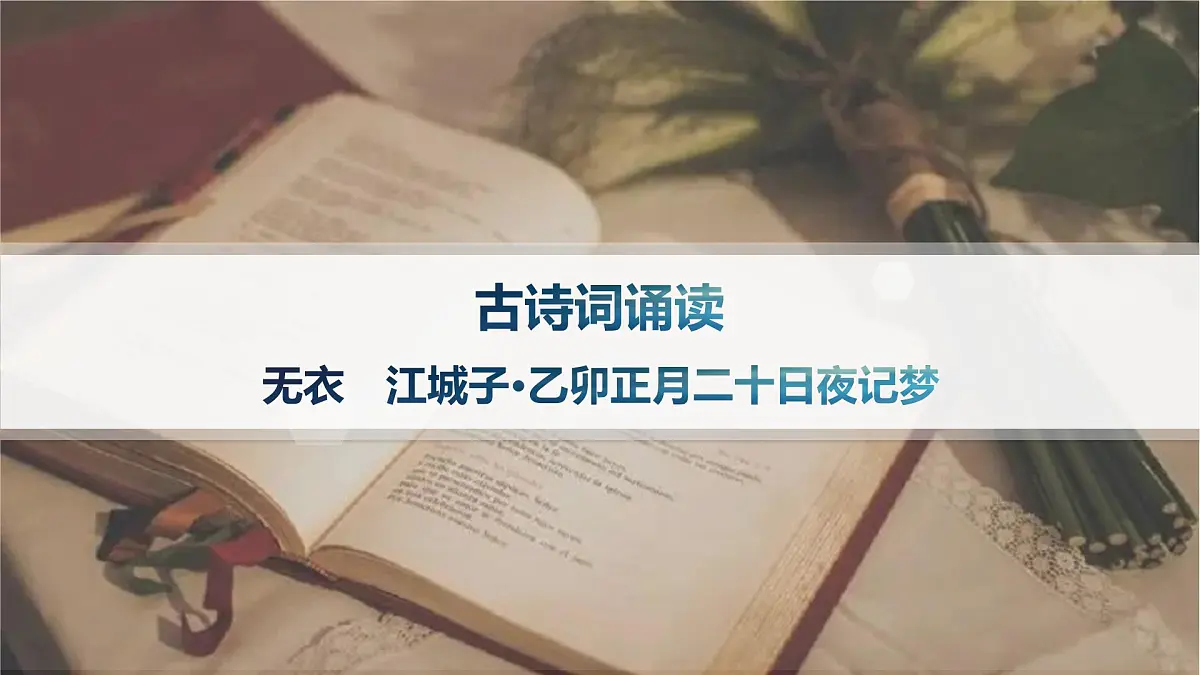 无衣 江城子 乙卯正月二十日夜记梦(分层作业课件)第1页