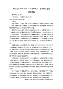 湖北省武汉市2024-2025学年高一下学期期末考试语文试卷（解析版）