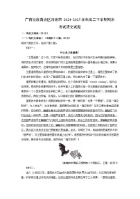 广西壮族自治区河池市2024-2025学年高二下学期期末考试语文试题（解析版）