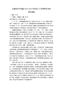 安徽省县中联盟2024-2025学年高二下学期期末考试语文试题（解析版）