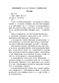 陕西省韩城市2024-2025学年高二下学期期末考试语文试题（解析版）