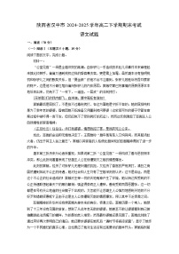 陕西省汉中市2024-2025学年高二下学期期末考试语文试题（解析版）