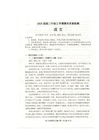 湖北省武汉市武昌区2025届高三年级上学期期末质量检测语文试卷