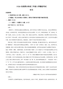 河北省邯郸市NT20名校联合体2025-2026学年高三上学期入学摸底检测语文试题（解析版）